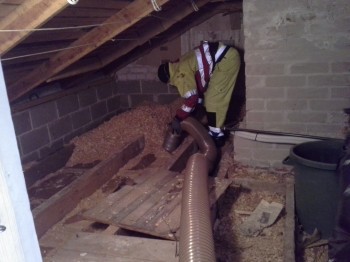 Spån utsug-Purun imurointi.